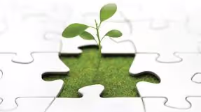 السلبية داء مدمر للأمة