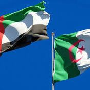  الجزائر تبدأ إجراءات إلغاء اتفاقية الخدمات الجوية مع الإمارات