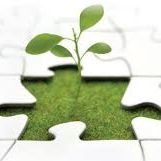 السلبية داء مدمر للأمة