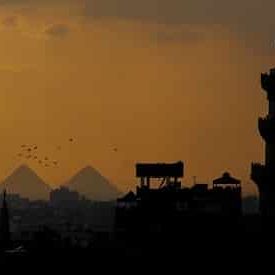 العلماء والإصلاح