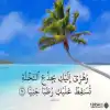 وهزي إليك بجذع النخلة