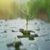 السلبية داء مدمر للأمة
