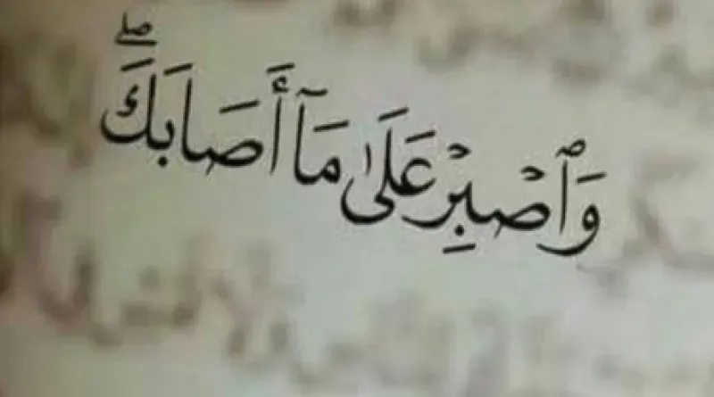 جذور البلاء المعاصر