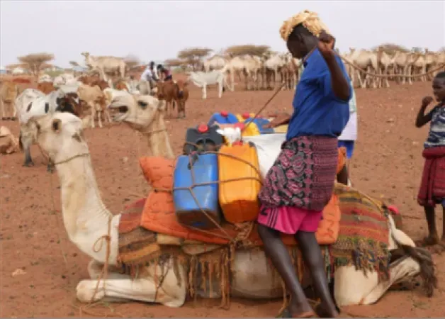 إعلان حالة الطوارئ في الصومال بسبب كارثة الجفاف