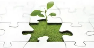 السلبية داء مدمر للأمة